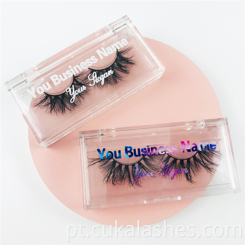 acrylic lashes cases